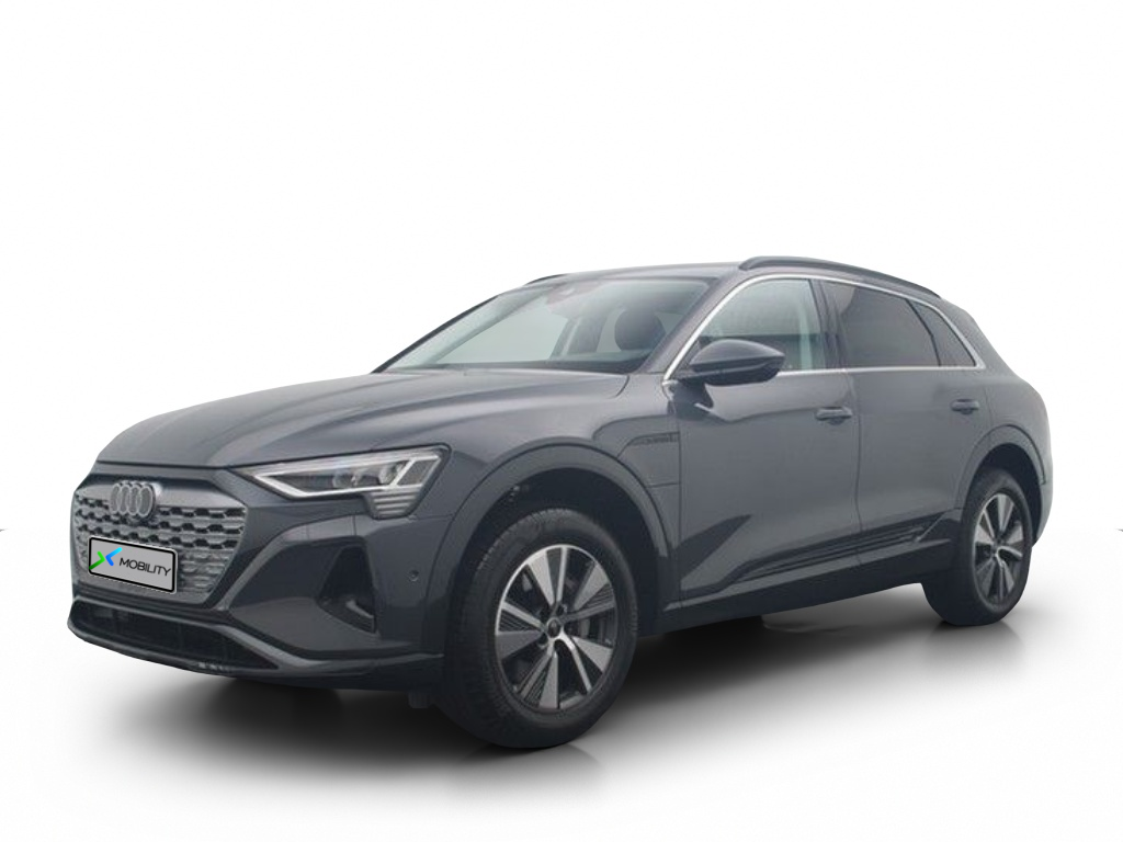 Angebotsdetails Audi Q8 advanced 50 e-tron Silber/Grau