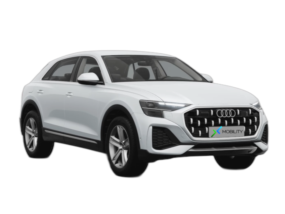 Angebotsdetails Audi Q8 advanced 50 e-tron Silber/Grau